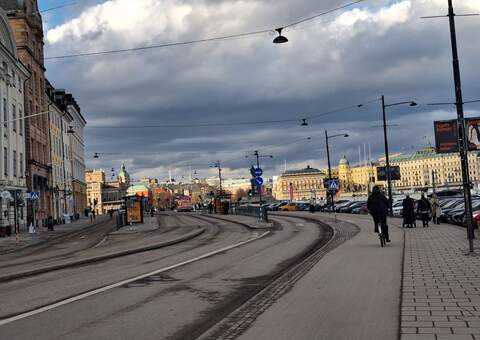 В Стокгольме пройдёт конференция учителей русского языка, посвящённая 225-летию Владимира Даля