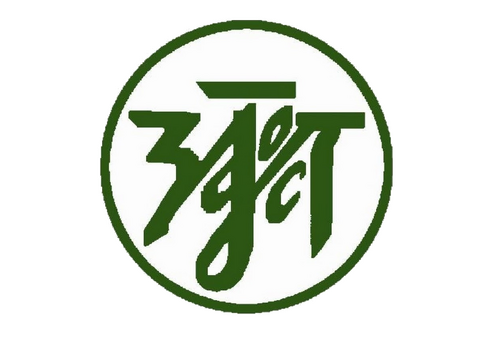 Перевёрнутый класс, информационные лакуны и рабочие листы: бесплатный марафон для зарубежных русистов